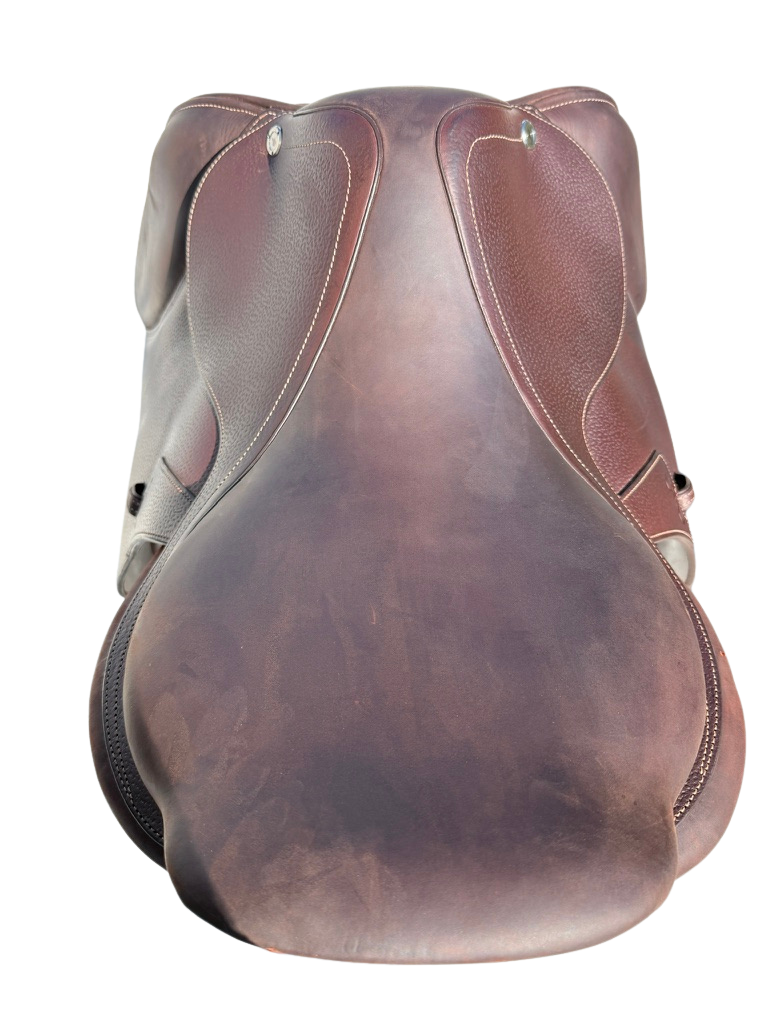 Front of the saddle, pommel and gullet